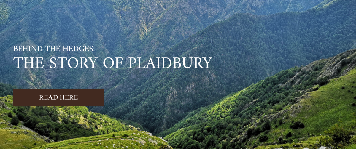 Promotional Banner